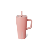 Era 20oz | Guava